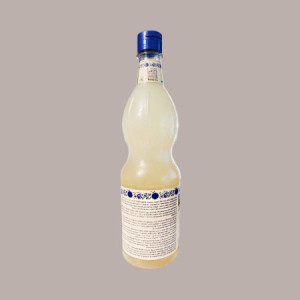 Sciroppo Concentrato per Granita Gusto Cocco Plus Mixybar Fabbri 1,3 kg [e5a6da23]