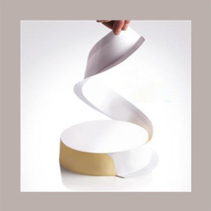 Stampo Monouso in Plastica Bianco per Semifreddi Bavaresi One Strip Dm180H40mm pezzi [1e33c6f2]