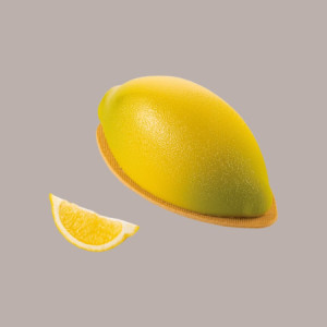 Stampo in Silicone per Frutta Realistica Limone 190x95H75 mm [94b91415]