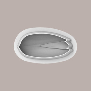 Stampo in Silicone Frutta Realistica Frutto del Pistacchio con Guscio 190x94H73 mm [7377ff1e]