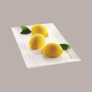 Stampo in Silicone 3D Per Frutta Realistica Delizia al Limone 85x59H42 mm [fd8d0c23]