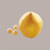 Stampo in Silicone 3D per Frutta Realistica Nocciola 59x59H62 mm [702c79d0]