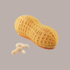 Stampo in Silicone per Frutta Realistica Arachide 196x87H75 mm [9ae0a516]