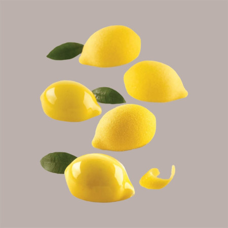 Stampo in Silicone 3D per Frutta Realistica Limone e Lime 55x38H27 mm [3b97998a]