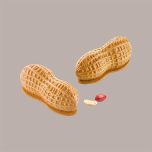 Stampo in Silicone per Frutta Realistica Arachide 107x43h40 mm [b262f088]