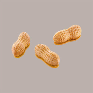 Stampo in Silicone per Frutta Realistica Arachide 72x29H27 mm [297c4a8e]