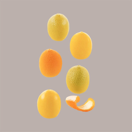 Stampo in Silicone per Frutta Realistica Agrumi 30x29H35 mm [5525eeea]