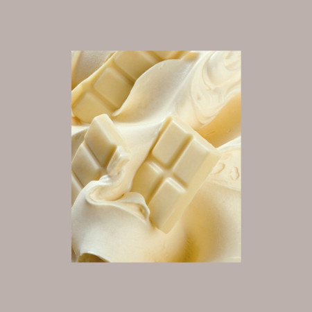 Pasta Concentrata al Gusto Cioccolato Bianco per Gelato e Dolci Leagel 3,5 Kg [99917e78]