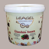 Pasta al Gusto Gianduia Amara per Gelato, Dolci e Torte Leagel 3,5 Kg [936de5c0]
