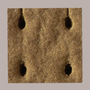 Biscotto Croccante Cacao Gelato Grande Doppio-Maxigel Break&Go 250 pezzi [bffeca2b]