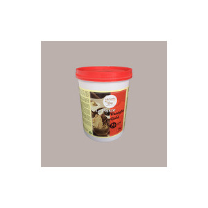 Pasta al Gusto di Vaniglia Linea Gold ideale per Gelato Dolci Leagel 1,5 Kg