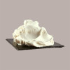 Frozen al Gusto Yogurt per Macchina Soft Gelato Senza Lattosio YogursprinT Pregel 1,2 Kg [286b5bb6]